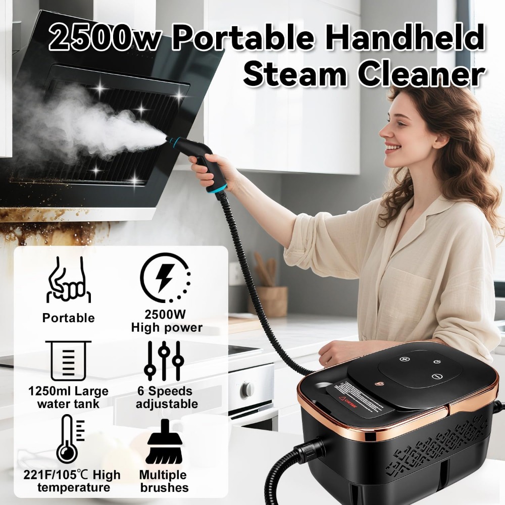 2500W Portable Steam Cleaner,  - Home Bathroom Images review and price
